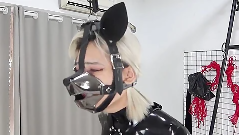 Jiojio Latex Dog