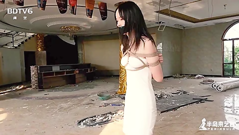 BDTV6 - Meteor hide and seek