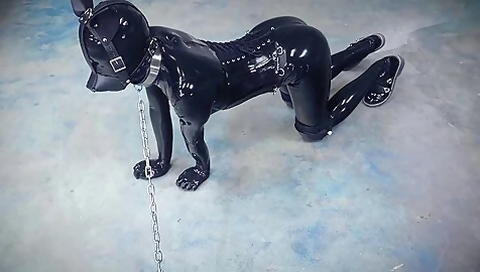 Latex Pet Play 1