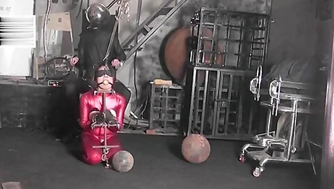 Amazing Adult Video Slave Cage Newest Exclusive Version